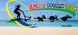 Jamaica Dogsled Team