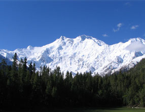 Snow Covered Mountain