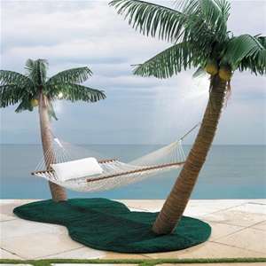 Palm Tree Hammock