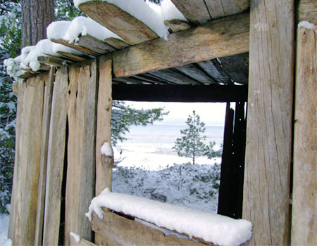 driftwood_cabin