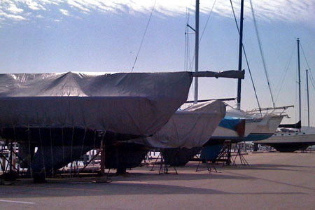 marina_run
