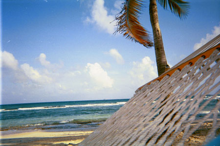 bolongo_hammock