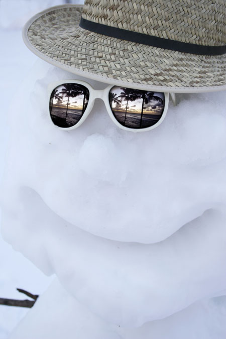 real_snomon