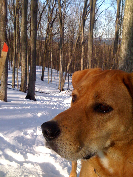 bailey_hiking