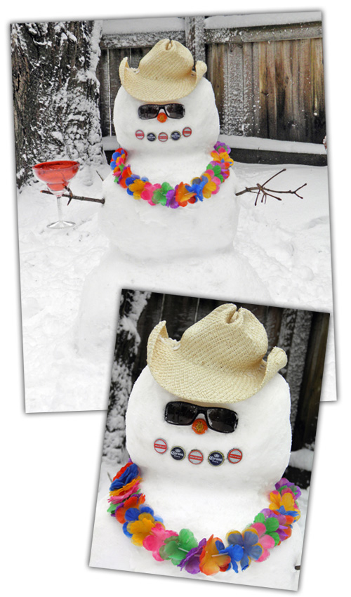 SnoMon